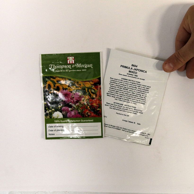Esimerkki toimitetusta Japaninesikko Mixed (siemenet) per pack of 50 seeds-taimesta
