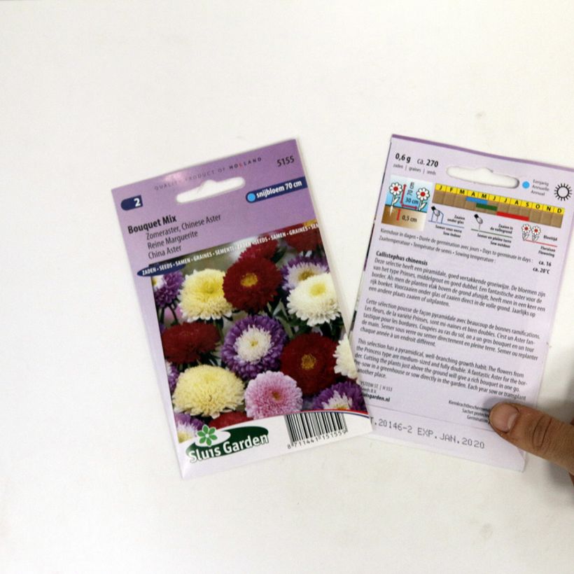 Esimerkki toimitetusta Kiinanasteri Bouquet (siemenet) per pack of 300 seeds (0,8g)-taimesta