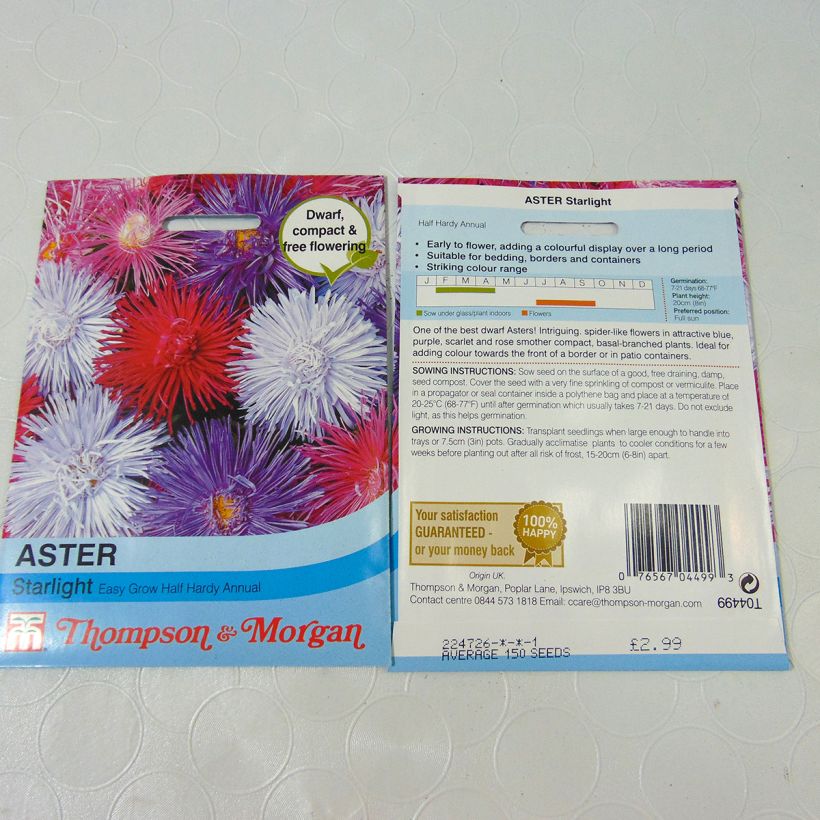 Esimerkki toimitetusta Kiinanasteri Starlight Mixed (siemenet) per pack of 250 seeds (0,5g)-taimesta
