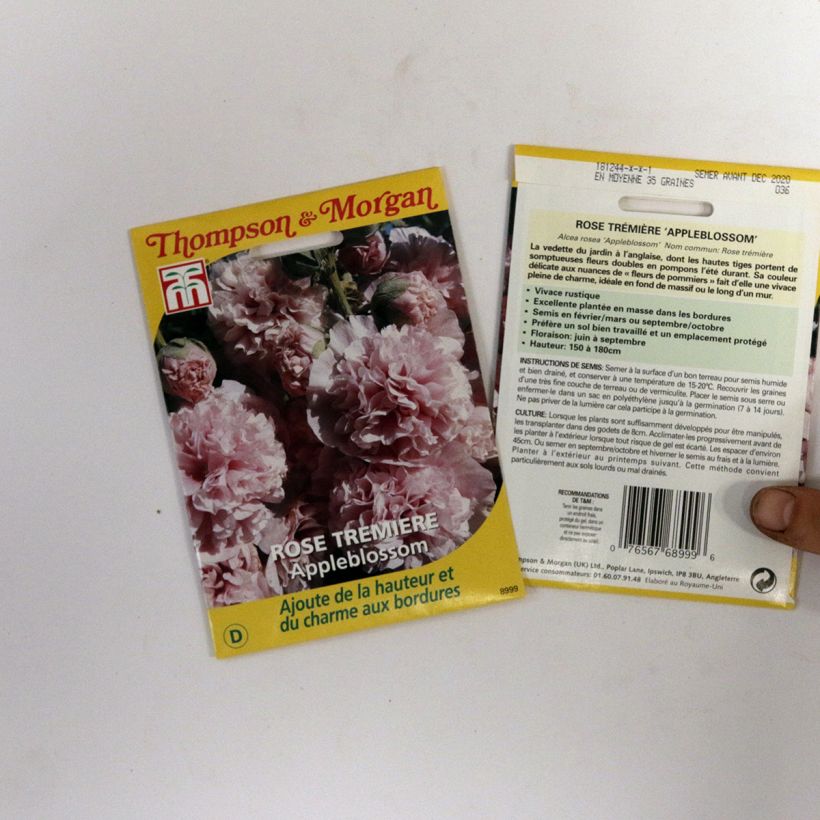 Esimerkki toimitetusta Tarhasalkoruusu Appleblossom (siemenet) per 2 g seed pack-taimesta