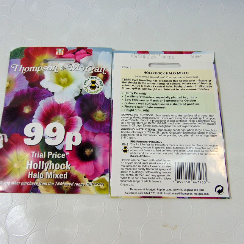 Esimerkki toimitetusta Tarhasalkoruusu Halo Mixed (siemenet) per pack of 25 seeds-taimesta
