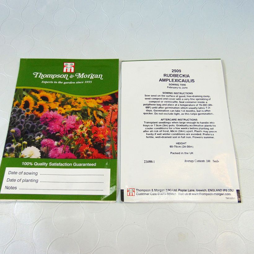 Esimerkki toimitetusta Päivänhattu (siemenet) - Rudbeckia amplexicaulis per pack of 400 seeds (0,3g)-taimesta