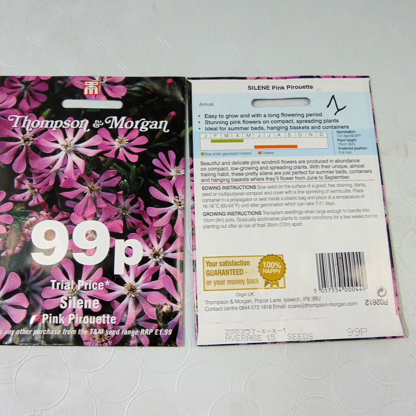 Esimerkki toimitetusta Kirjokohokki Pink Pirouette (siemenet) per pack of 15 seeds-taimesta