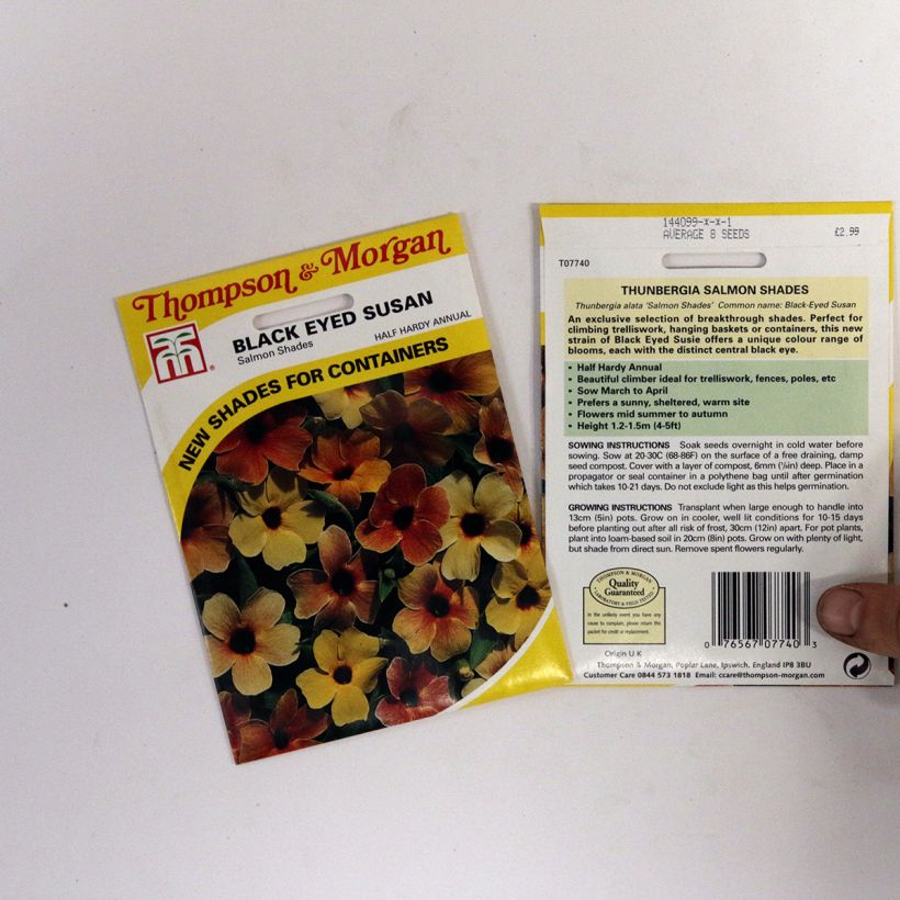 Esimerkki toimitetusta Mustasilmäsusanna Salmon Shades (siemenet) per 2 g seed pack-taimesta