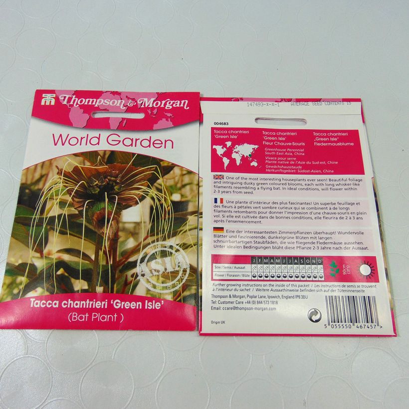Esimerkki toimitetusta Tummaviiksikki Green Isle (siemenet) per pack of 15 seeds-taimesta