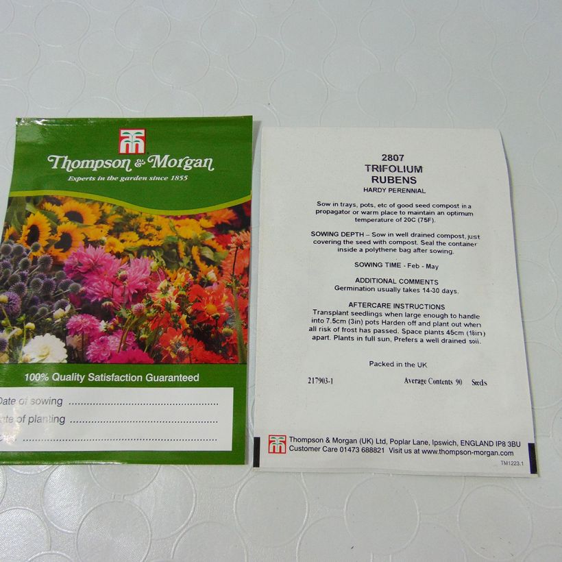 Esimerkki toimitetusta Rusoapila (siemenet) - Trifolium rubens per pack of 100 seeds (0,25g)-taimesta