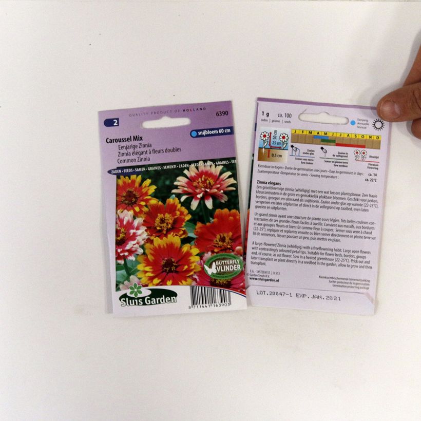 Esimerkki toimitetusta Isotsinnia Carrousel Mix (siemenet) per 1 g seed pack-taimesta
