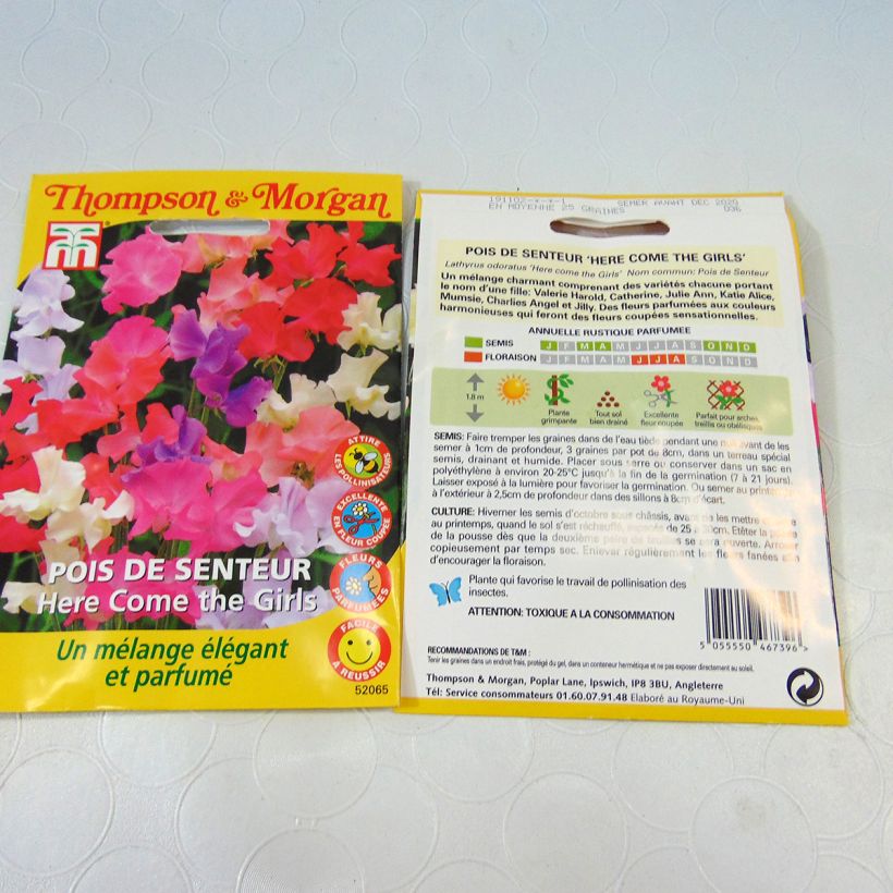 Esimerkki toimitetusta Tuoksuherne Here come the Girls (siemenet) per 2 g seed pack-taimesta