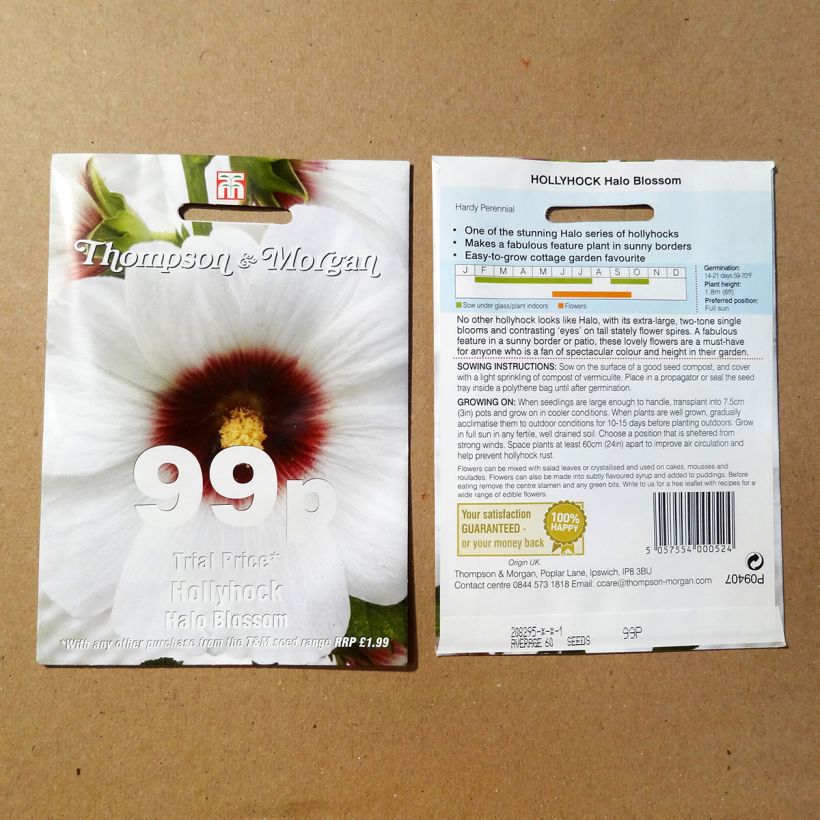 Esimerkki toimitetusta Tarhasalkoruusu Halo Blossom (siemenet) per pack of 25 seeds-taimesta