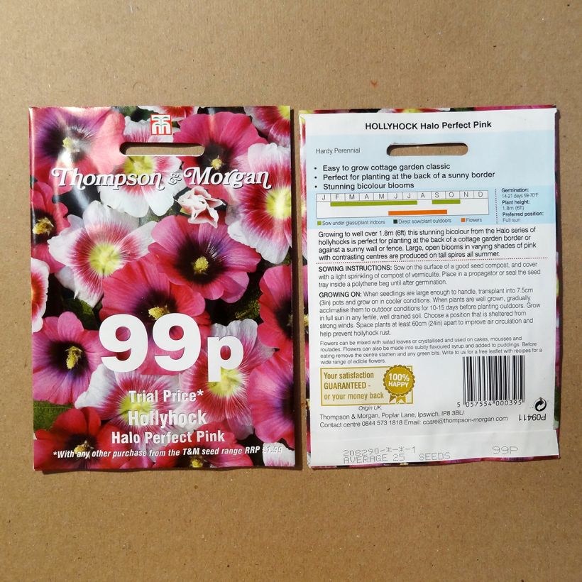 Esimerkki toimitetusta Tarhasalkoruusu Halo Perfect Pink (siemenet) per pack of 25 seeds-taimesta
