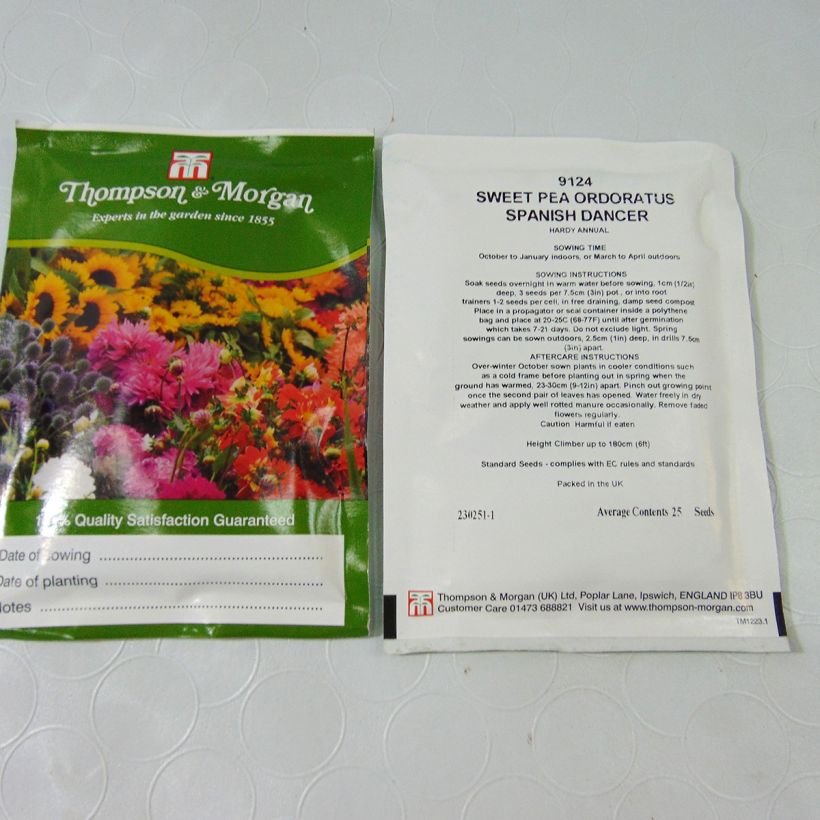 Esimerkki toimitetusta Neilikka Russian Skies (siemenet) per pack of 30 seeds-taimesta