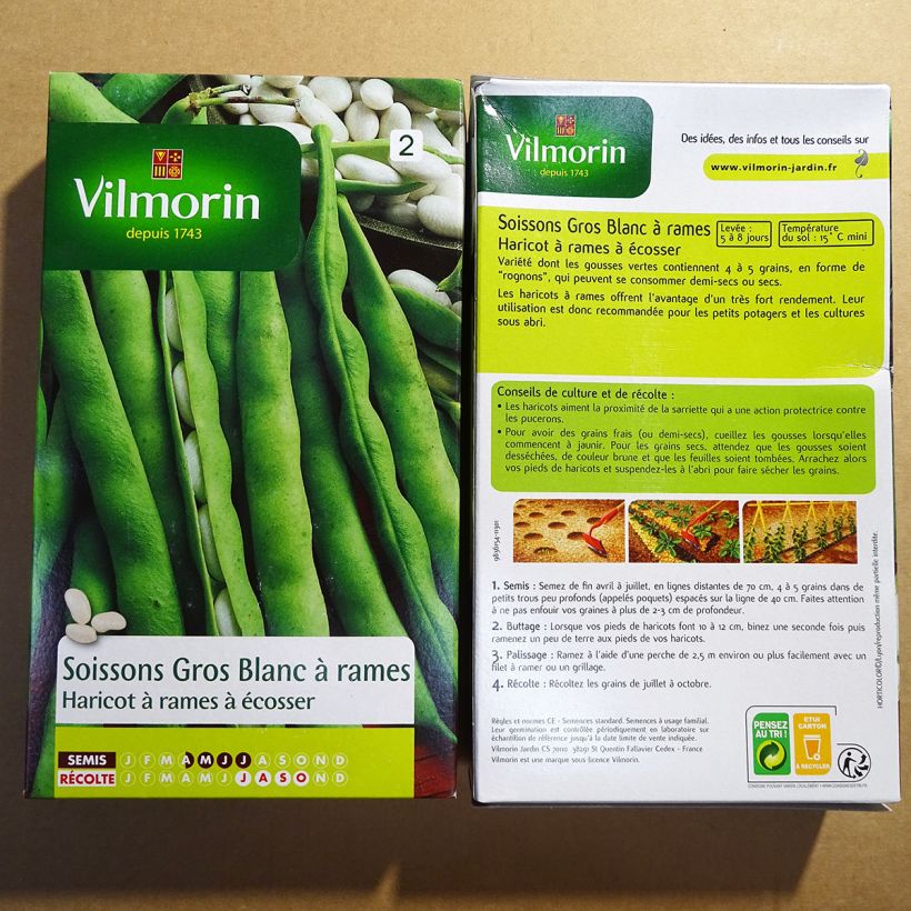 Esimerkki toimitetusta Salkopapu Soissons gros blanc - Vilmorin 400 siemenen pussi (200g)-taimesta