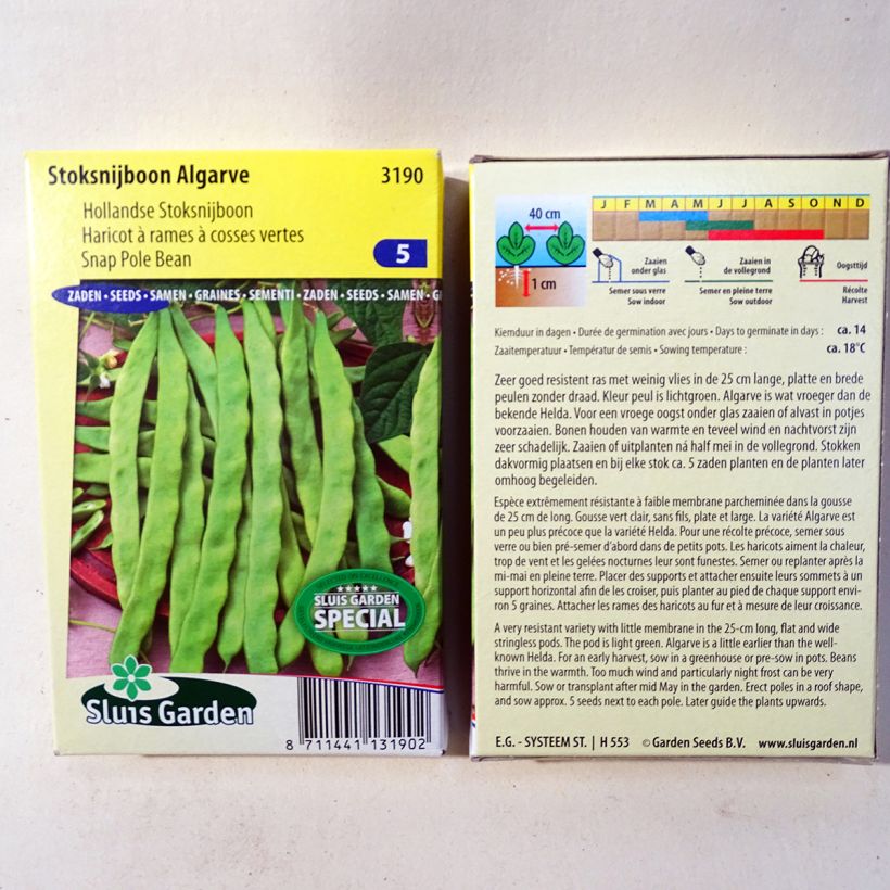 Esimerkki toimitetusta Tarhapapu Algarve 170 siemenen pussi (85g)-taimesta