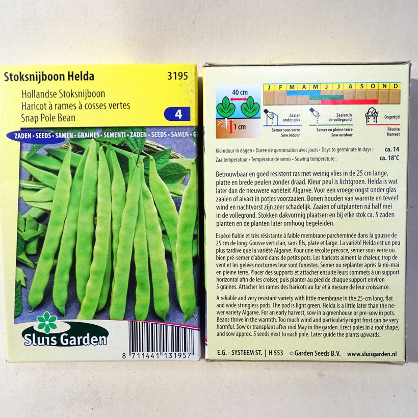 Esimerkki toimitetusta Salkopapu Helda 150 siemenen pussi (85g)-taimesta