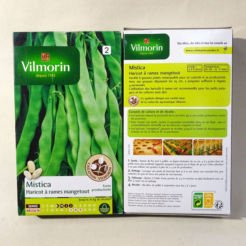 Esimerkki toimitetusta Salkopapu Mistica - Vilmorin Siemenet-taimesta