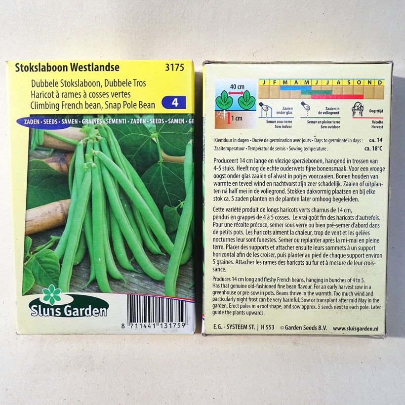 Esimerkki toimitetusta Salkopapu Westlandse 200 siemenen pussi (100g)-taimesta