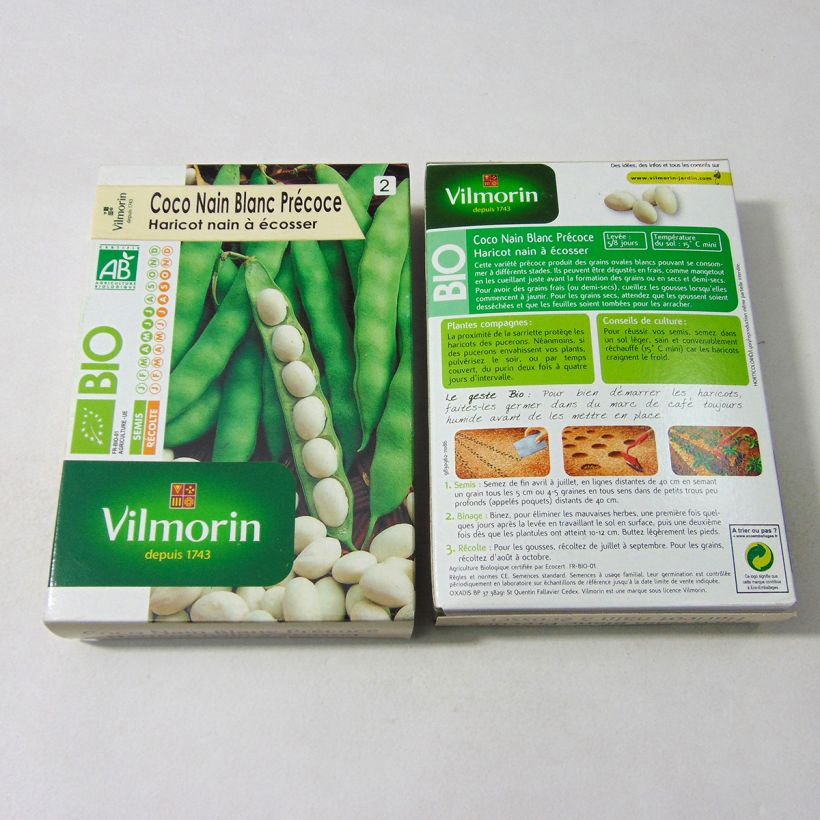 Esimerkki toimitetusta Matala tarhapapu Coco luomu - Vilmorin 200 siemenen pussi (100g)-taimesta