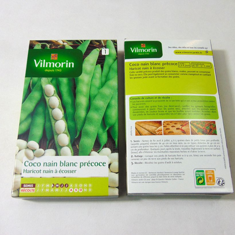 Esimerkki toimitetusta Tarhapapu Coco valkoinen aikainen - Vilmorin - Phaseolus vulgaris 400 siemenen pussi (200g)-taimesta