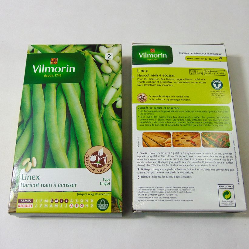 Esimerkki toimitetusta Tarhapapu Linex - Vilmorin 400 siemenen pussi (200g)-taimesta