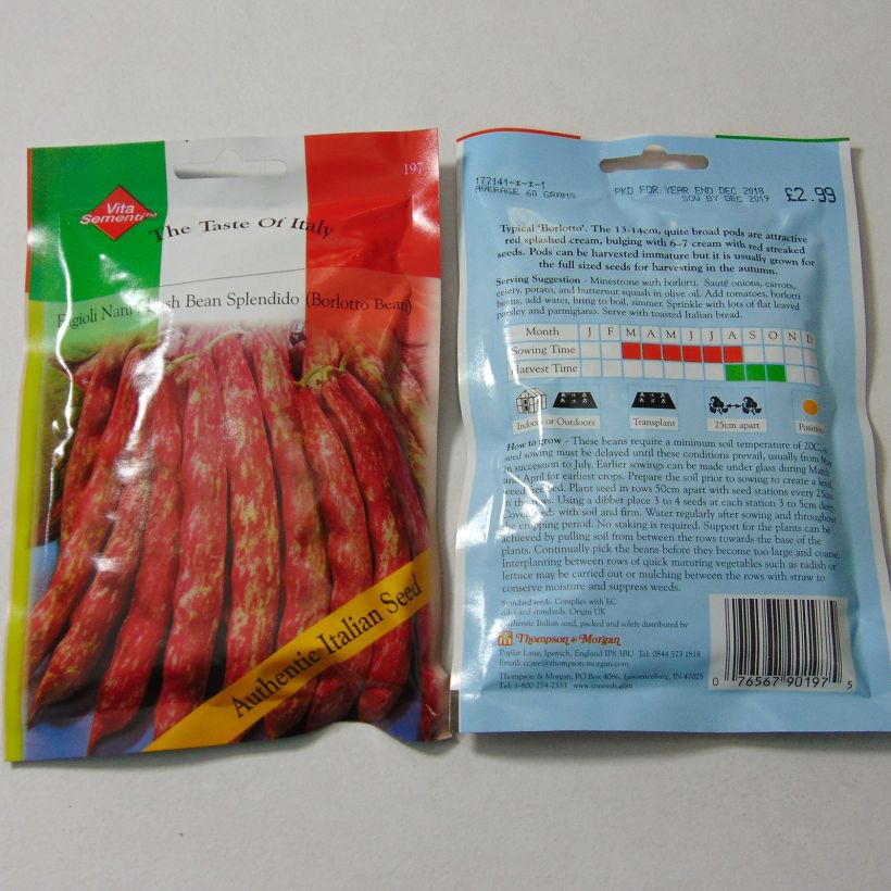 Esimerkki toimitetusta Tarhapapu Splendido 120 siemenen pussi (60g)-taimesta