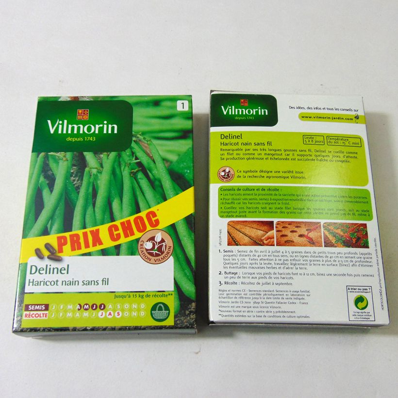 Esimerkki toimitetusta Palkoineen syötävä tarhapapu Delinel - Vilmorin 280 siemenen pussi (140g)-taimesta