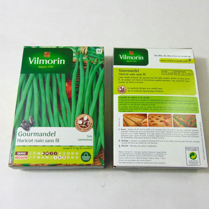 Esimerkki toimitetusta Palkoineen syötävä tarhapapu Gourmandel - Vilmorin 200 siemenen pussi (100g)-taimesta