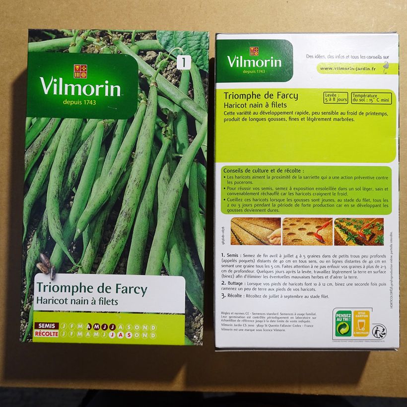 Esimerkki toimitetusta Palkoineen syötävä tarhapapu Triomphe de Farcy - Vilmorin 500 siemenen pussi (250g)-taimesta