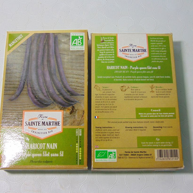 Esimerkki toimitetusta Taitepapu Purple queen luomu - Ferme de Sainte Marthe 160 siemenen pussi (80g)-taimesta