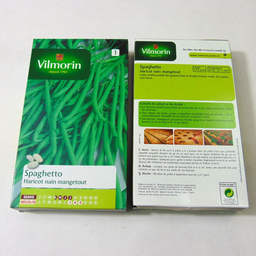 Esimerkki toimitetusta Palkoineen syötävä tarhapapu Spaghetto - Vilmorin 350 siemenen pussi (175g)-taimesta