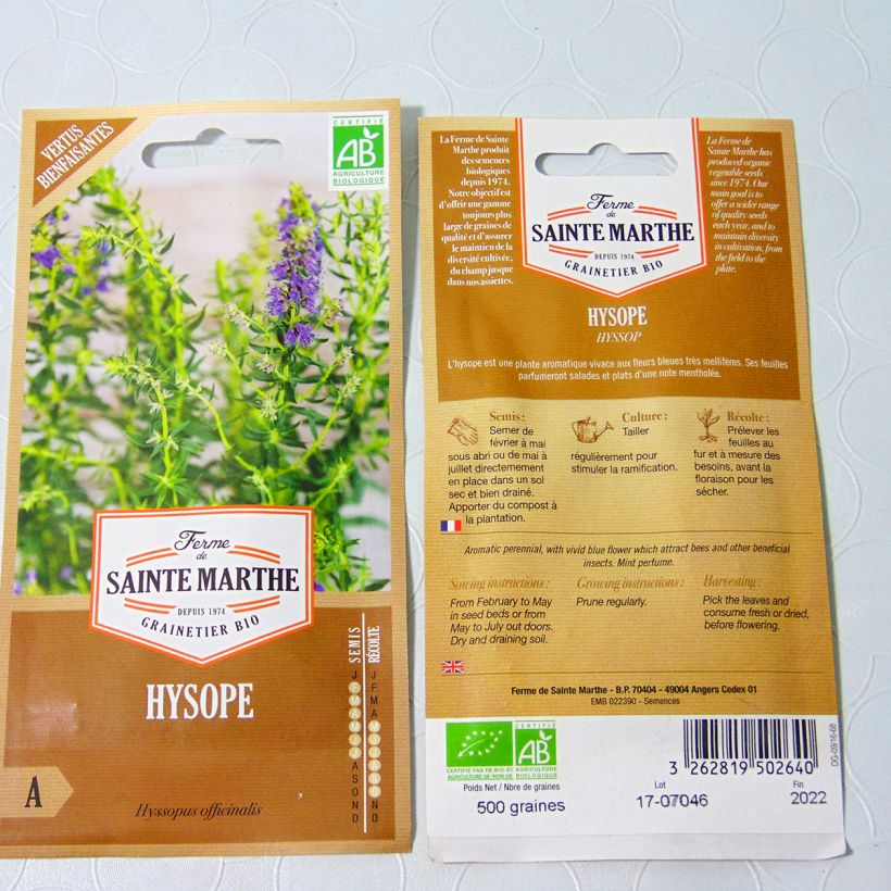 Esimerkki toimitetusta Iisoppi luomu - Ferme de Sainte Marthe - Hyssopus officinalis 500 siemenen pussi-taimesta