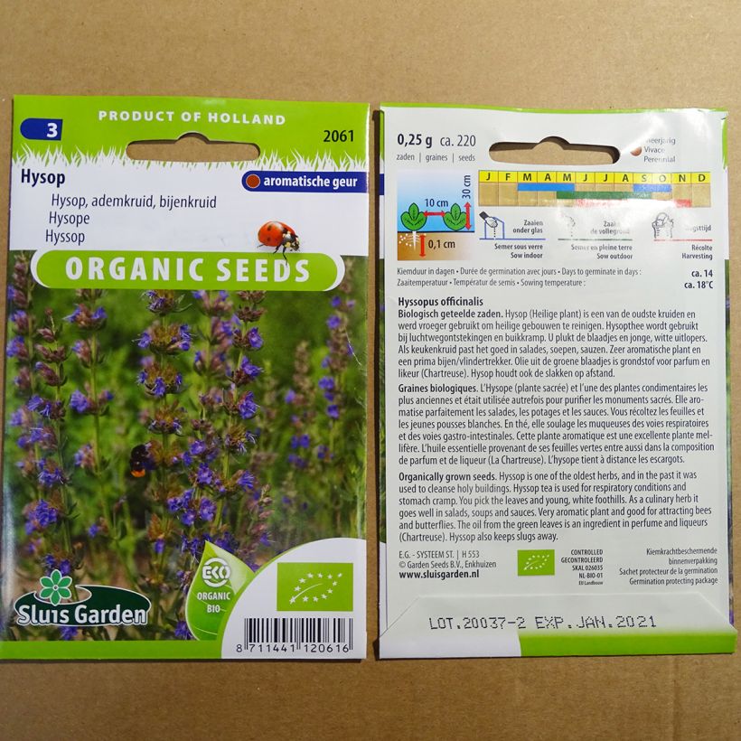 Esimerkki toimitetusta Iisoppi luomu - Hyssopus officinalis 220 siemenen pussi (0.25g)-taimesta