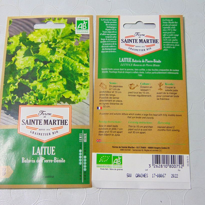 Esimerkki toimitetusta Bataviasalaatti de Pierre Bénite luomu - Ferme de Sainte Marthe 500 siemenen pussi (3g)-taimesta