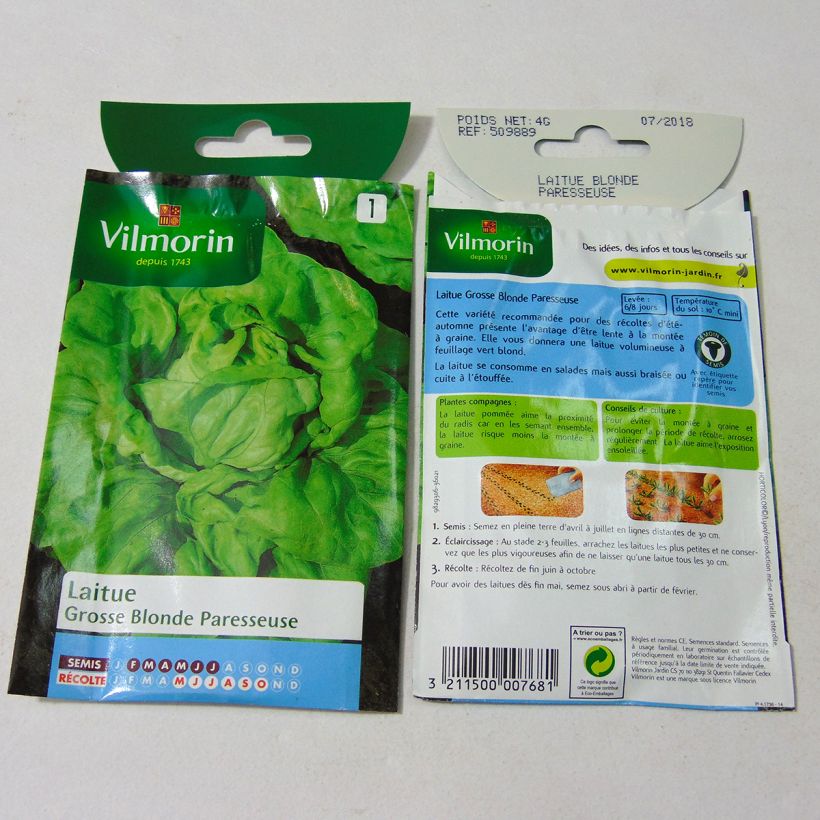Esimerkki toimitetusta Salaatti Grosse Blonde Paresseuse - Vilmorin 3200 siemenen pussi (4g)-taimesta