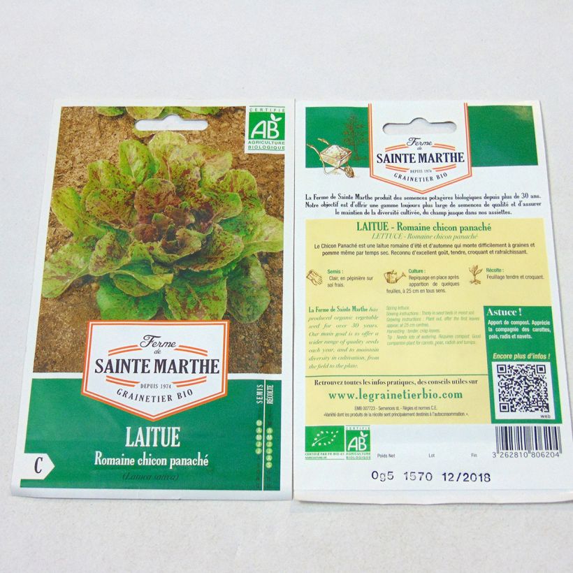 Esimerkki toimitetusta Sidesalaatti Chicon Panaché luomu - Ferme de Sainte Marthe 450 siemenen pussi-taimesta