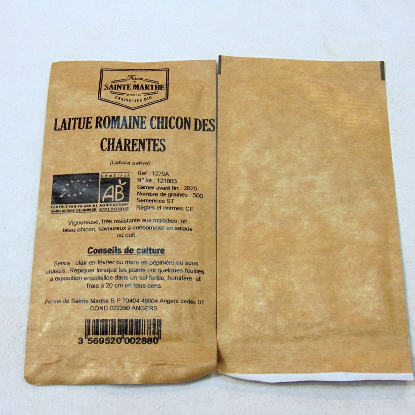 Esimerkki toimitetusta Sidesalaatti Chicon des Charentes luomu - Ferme de Sainte Marthe 500 siemenen pussi-taimesta