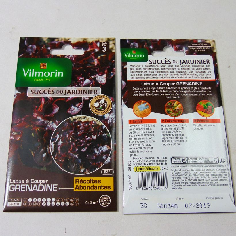 Esimerkki toimitetusta Salaatti Grenadine - Vilmorin 3000 siemenen pussi (3g)-taimesta
