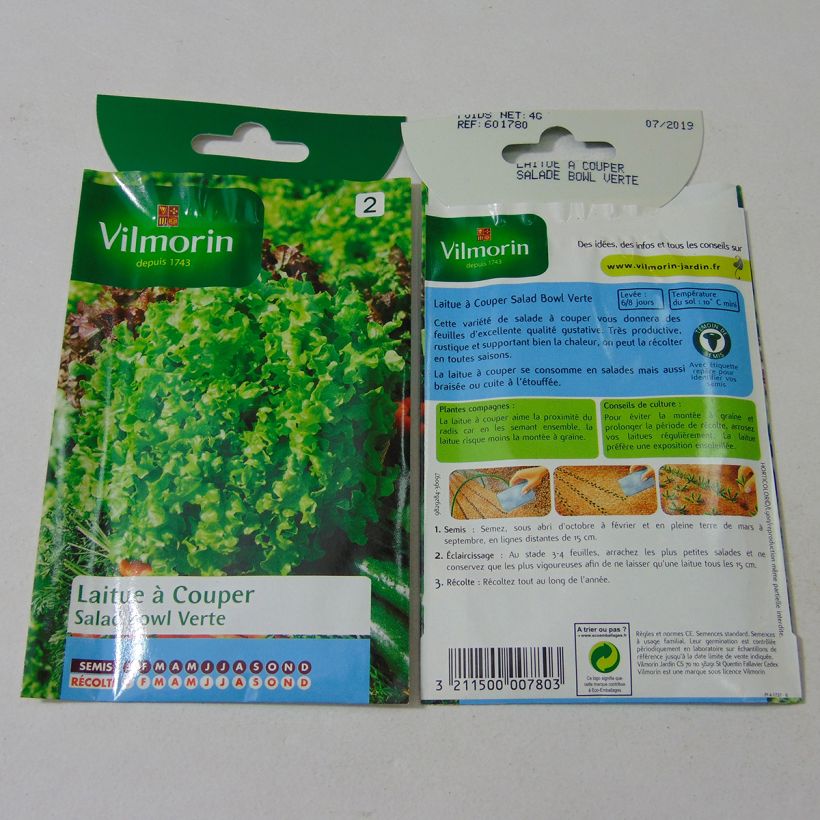 Esimerkki toimitetusta Tammenlehtisalaatti Green Salad Bowl - Vilmorin 3200 siemenen pussi (4g)-taimesta