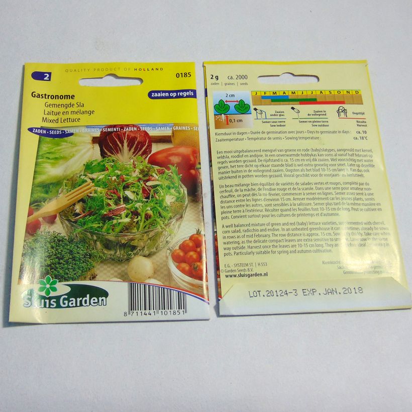 Esimerkki toimitetusta Salaatti Mix Gastronome 2000 siemenen pussi (2g)-taimesta