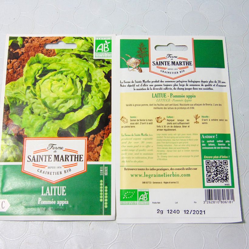 Esimerkki toimitetusta Salaatti Appia luomu - Ferme de Sainte Marthe 500 siemenen pussi (2g)-taimesta