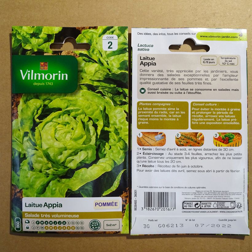 Esimerkki toimitetusta Salaatti Appia - Vilmorin 2400 siemenen pussi (3g)-taimesta