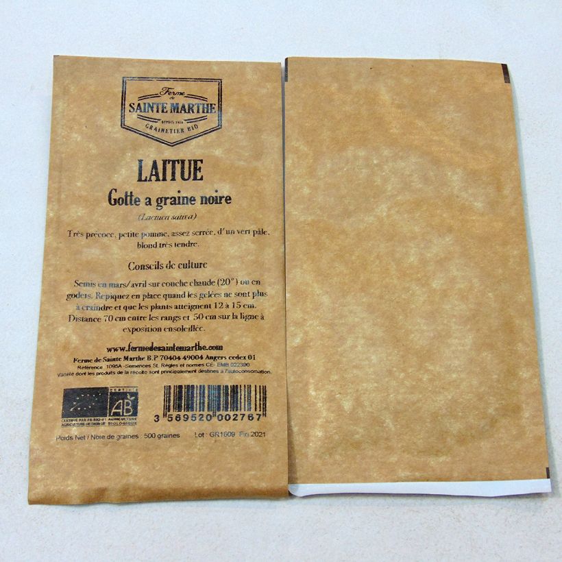 Esimerkki toimitetusta Salaatti Gotte à Graine Noire luomu - Ferme de Sainte Marthe 500 siemenen pussi-taimesta