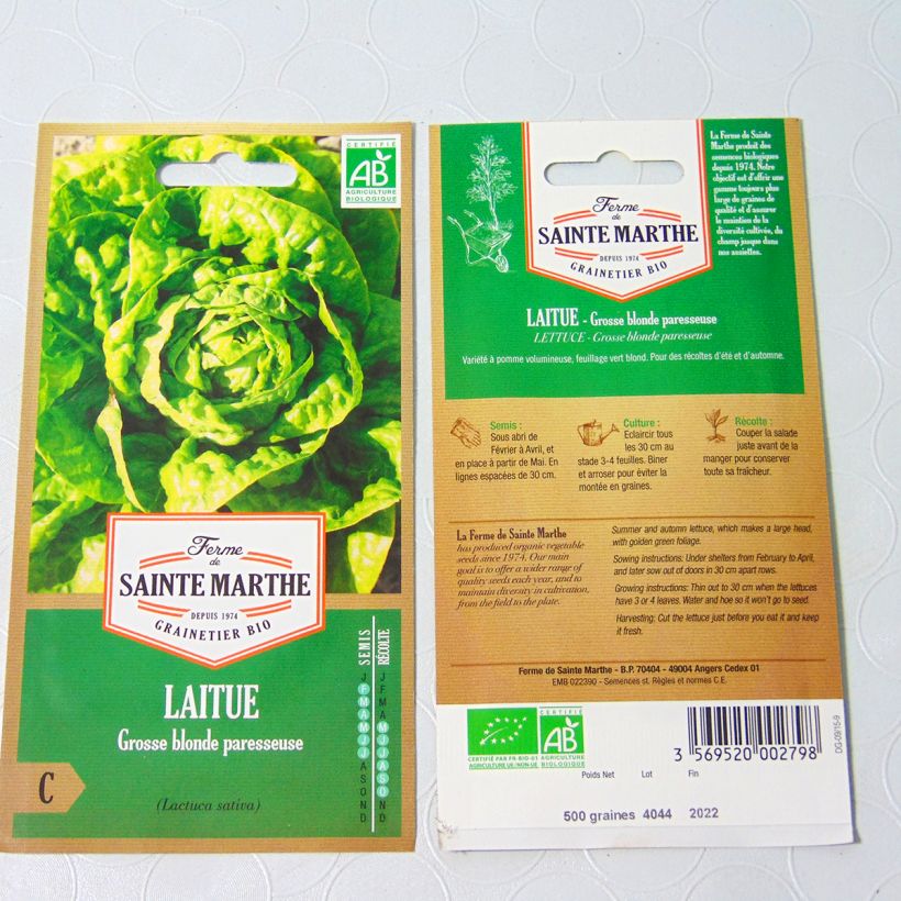 Esimerkki toimitetusta Salaatti Grosse Blonde Paresseuse luomu - Ferme de Sainte Marthe 500 siemenen pussi-taimesta