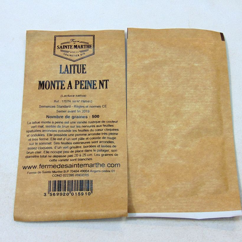 Esimerkki toimitetusta Salaatti Monte à Peine - Ferme de Sainte Marthe 500 siemenen pussi-taimesta