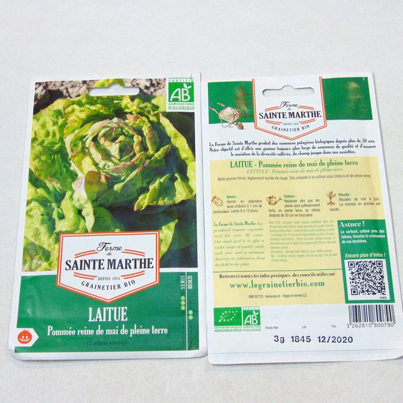 Esimerkki toimitetusta Salaatti Reine de Mai luomu - Ferme de Sainte Marthe 2500 siemenen pussi (3g)-taimesta
