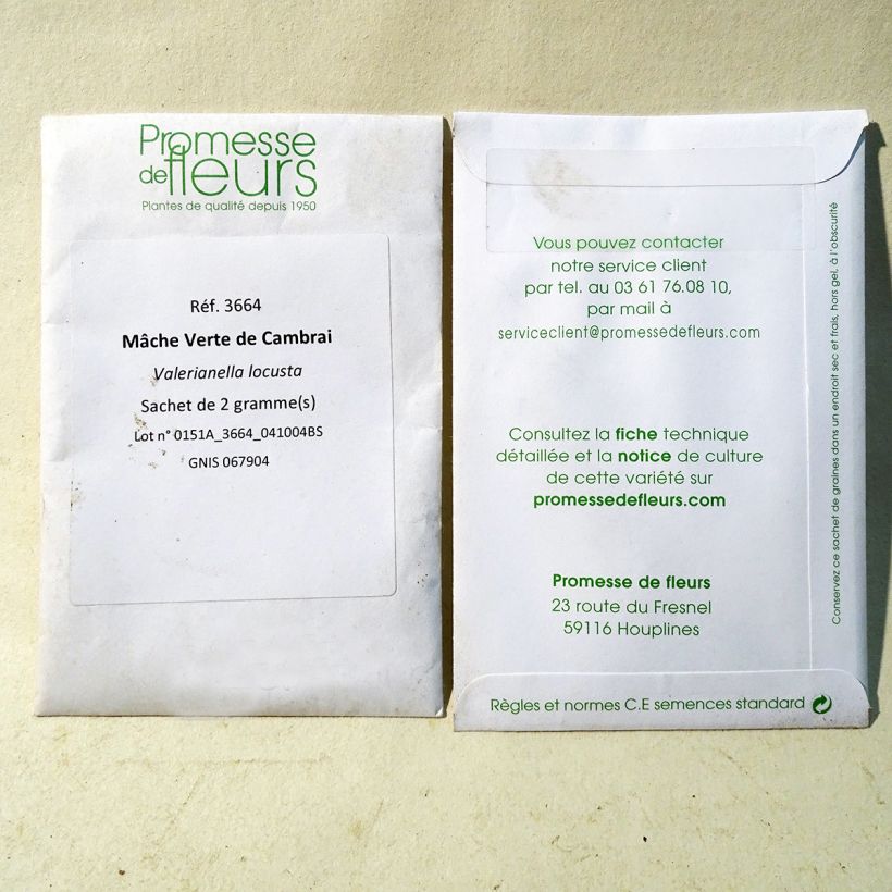 Example of Mâche Verte de Cambrai per pack of 1300 seeds (2g) as you get