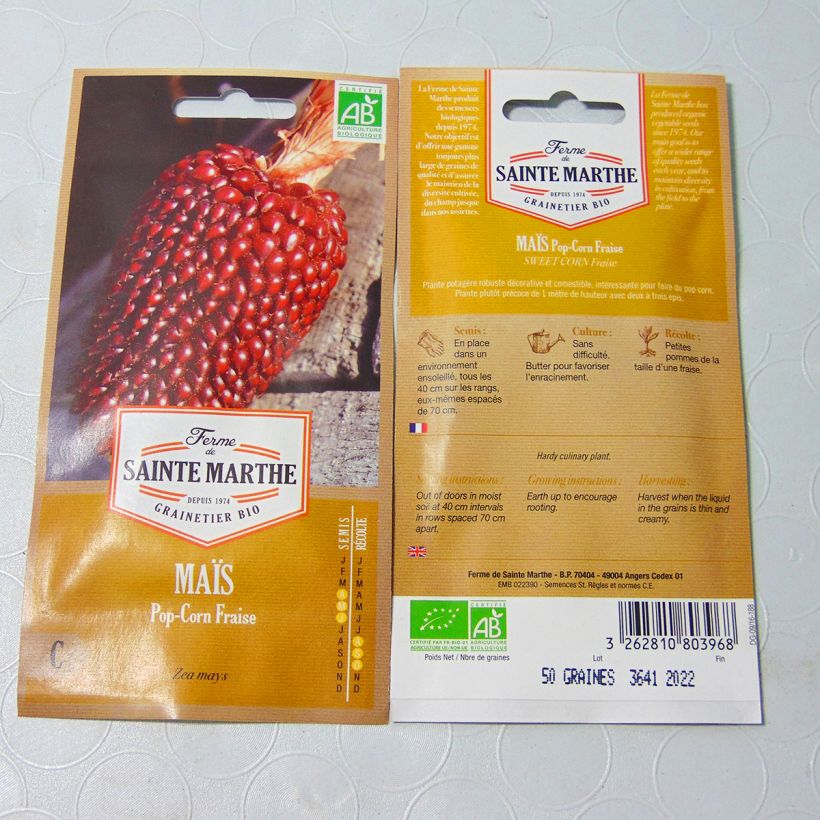 Esimerkki toimitetusta Maissi Strawberry Pop Corn luomu - Ferme de Sainte Marthe 15 siemenen pussi (4g)-taimesta