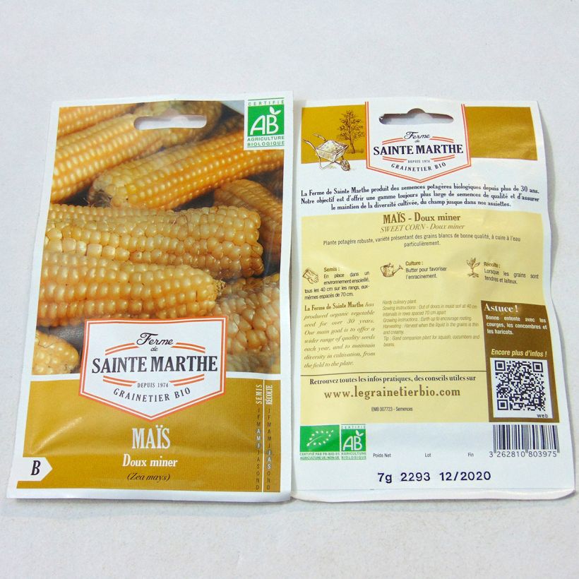 Esimerkki toimitetusta Sokerimaissi Miner luomu - Ferme de Sainte Marthe 50 siemenen pussi (7g)-taimesta