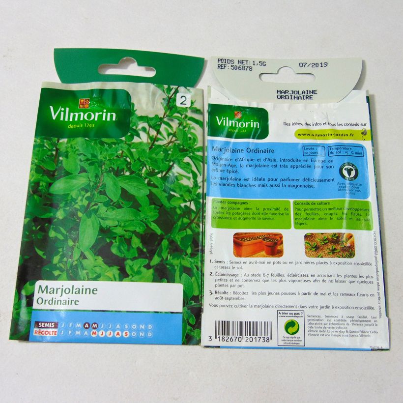 Esimerkki toimitetusta Maustemeirami Vilmorin - Origanum majorana 12000 siemenen pussi (1g)-taimesta