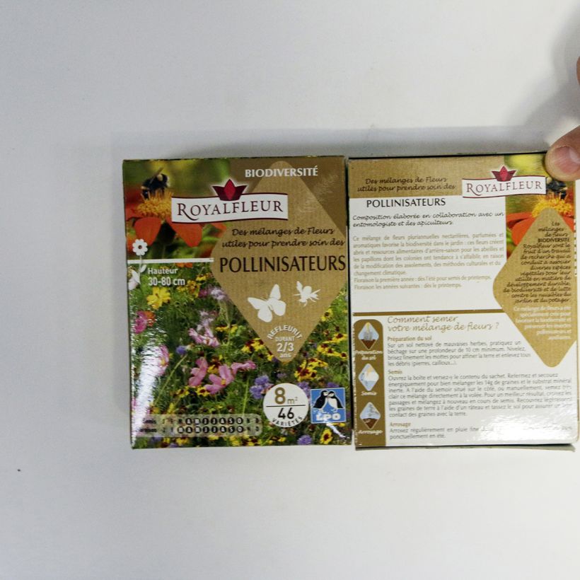 Esimerkki toimitetusta Mélange pour attirer les pollinisateurs - Boite 8 m2 14 gramman siemenpussi-taimesta