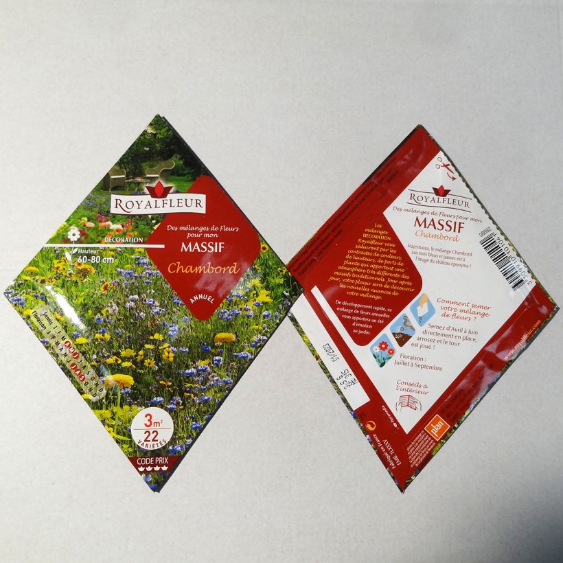Esimerkki toimitetusta Mélange pour massif Chambord - Sachet 3 m2 3.5 gramman siemenpussi-taimesta